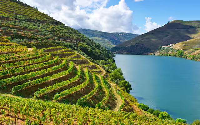 portugal photo 8